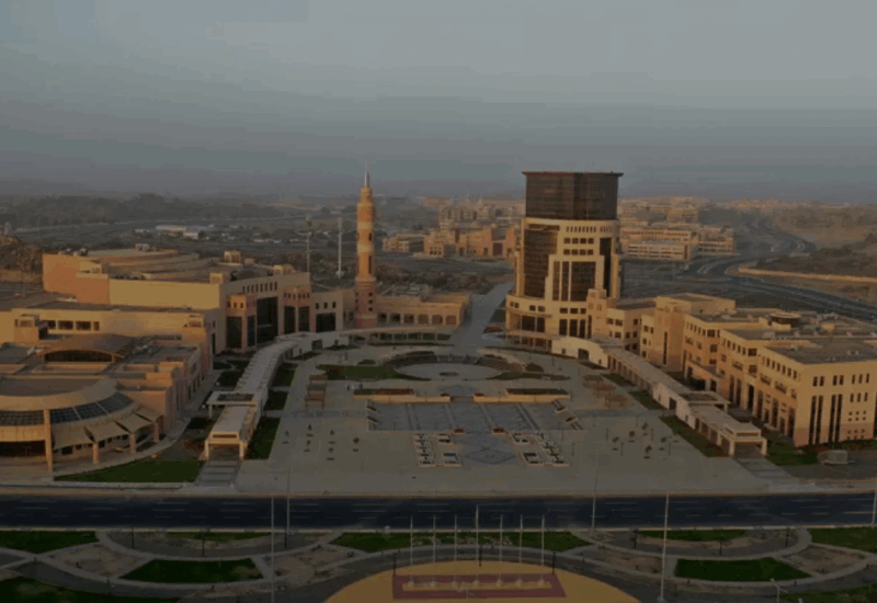 King Khalid University