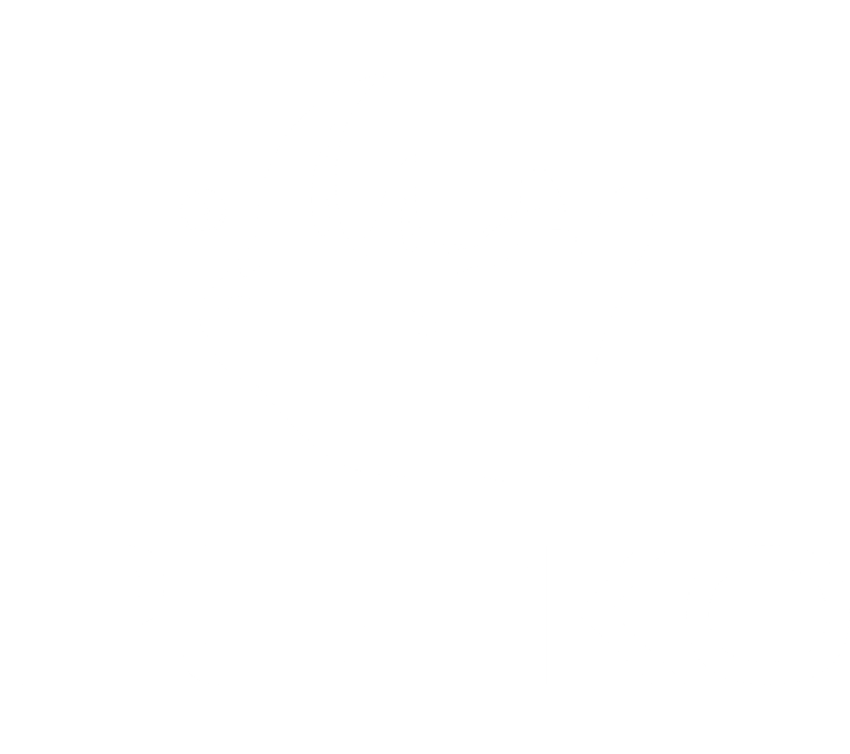 PLeko Logo_Without Slogan_White