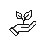 Pleko stat - Countries icon